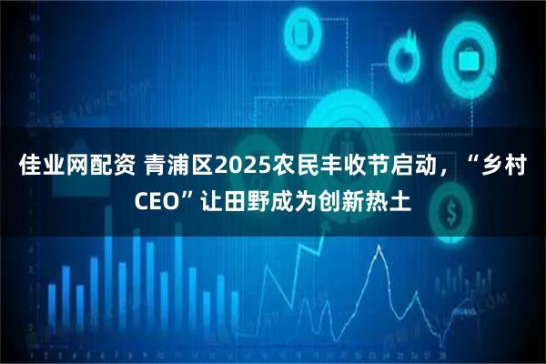 佳业网配资 青浦区2025农民丰收节启动，“乡村CEO”让田野成为创新热土