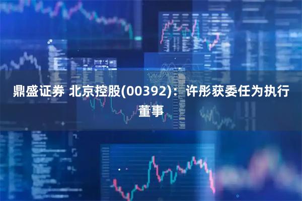 鼎盛证券 北京控股(00392)：许彤获委任为执行董事