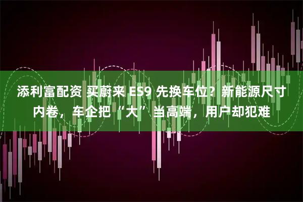 添利富配资 买蔚来 ES9 先换车位？新能源尺寸内卷，车企把 “大” 当高端，用户却犯难