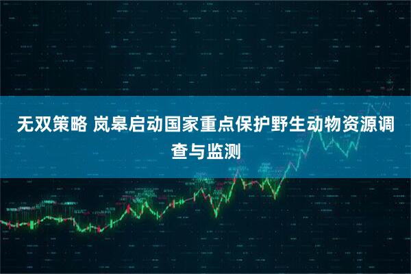 无双策略 岚皋启动国家重点保护野生动物资源调查与监测